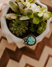 Load image into Gallery viewer, Sierra Bella Flower - Ready to finish